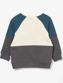 Colour Block Sweatshirt - Baby Boy