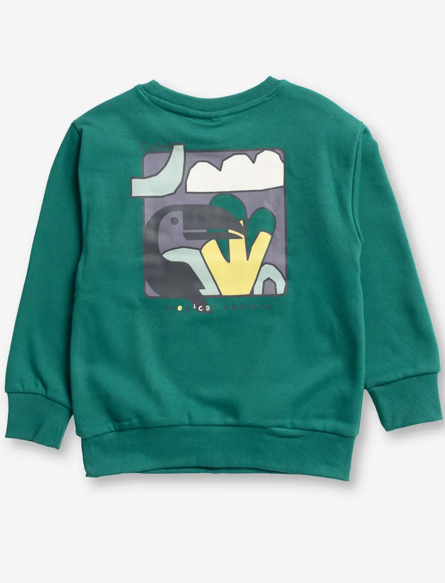 Cotton Fleece Sweater