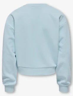 Crewneck Sweater with Textured Graphic