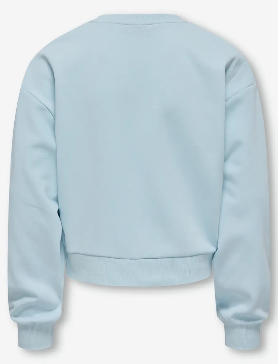 Crewneck Sweater with Textured Graphic