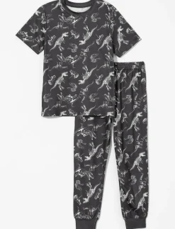 Dinosaur Print 2-piece PJ Set - Little Boy