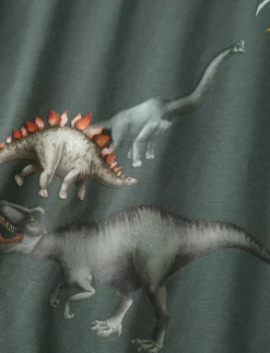 Dinosaur print T-shirt - little boys