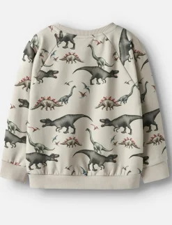 Dinosaur sweater - boys