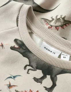 Dinosaur sweater - boys