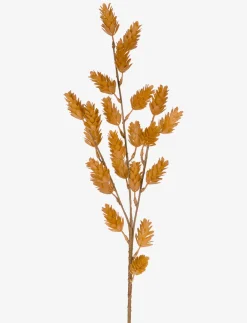 Grass Stem
