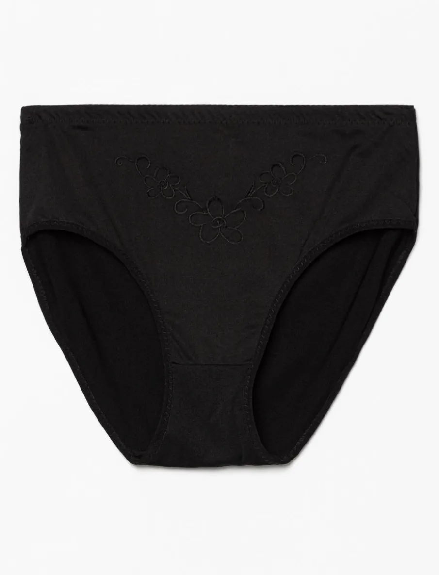 Hipster Briefs with Embroidery