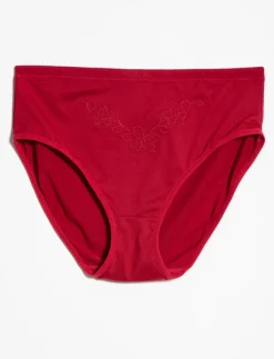 Hipster Panty with Embroidery