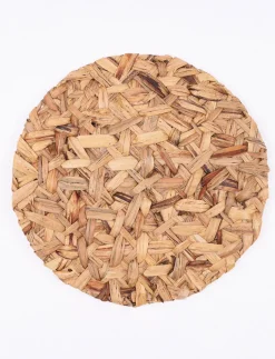 Hyacinth Leaf Place Mat