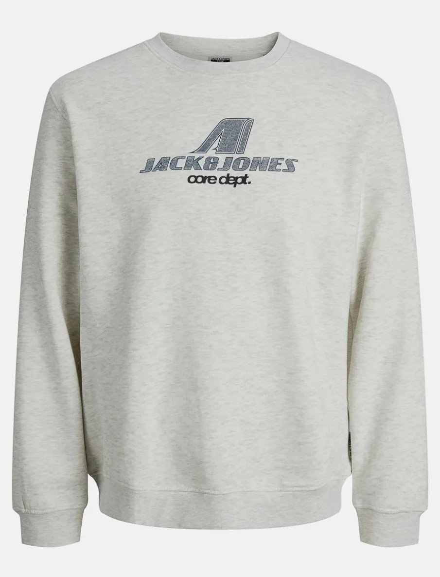 Logo Crew-neck Sweatshirt