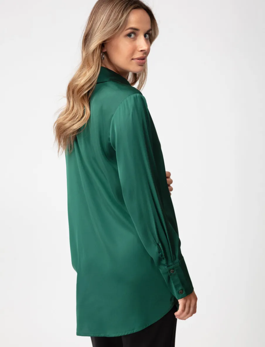 Long Silky Blouse