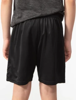 Mesh Sports Shorts
