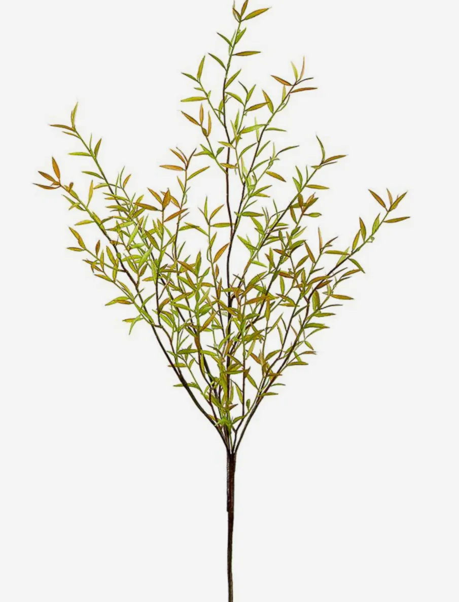 Myrtle Stem