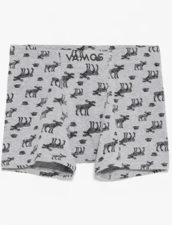 Organic Cotton Boxer