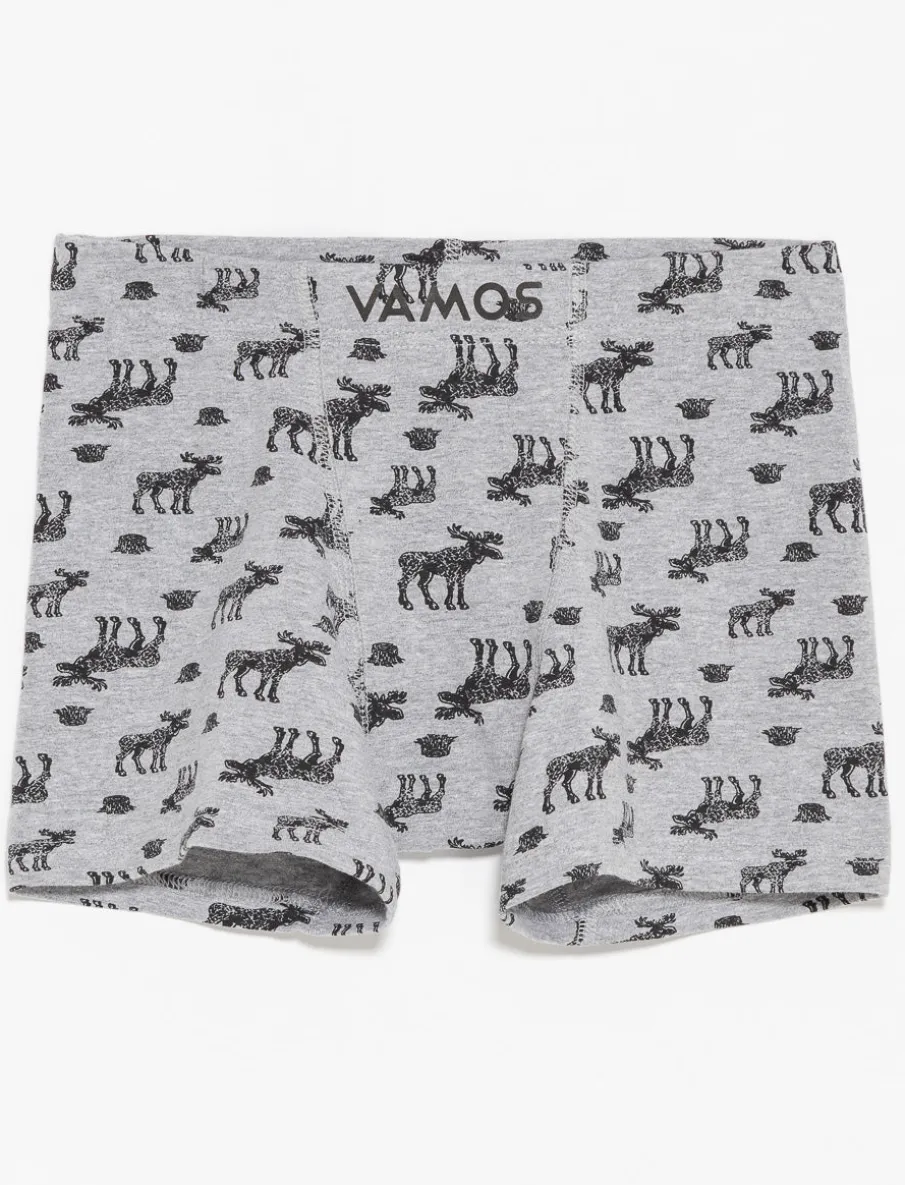 Organic Cotton Boxer