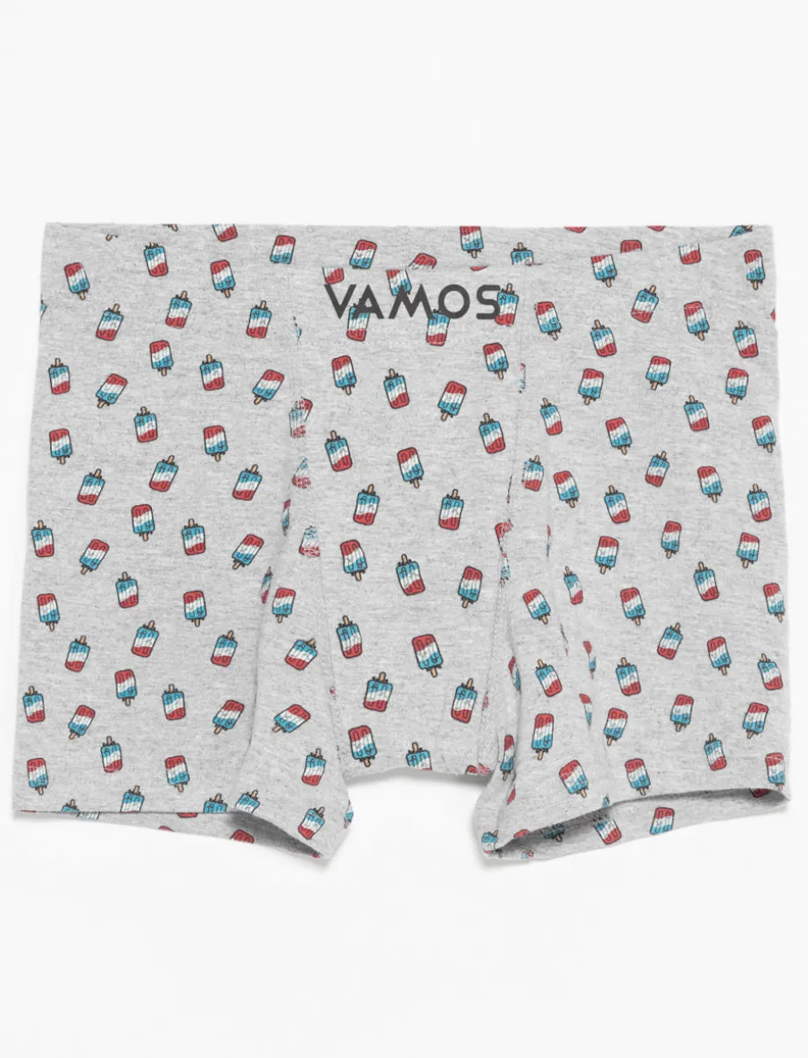 Organic Cotton Printed Boxers