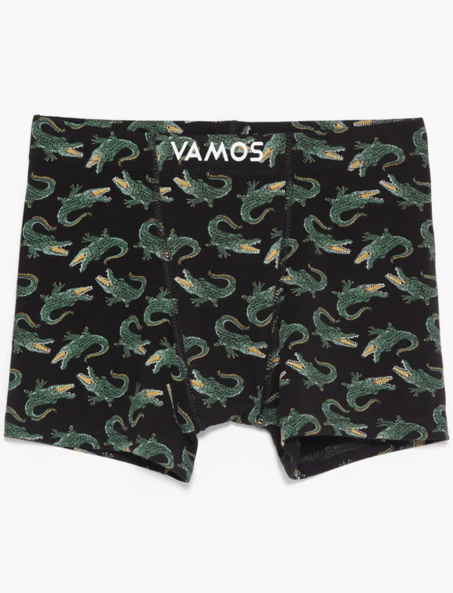 Organic Cotton Printed Boxers