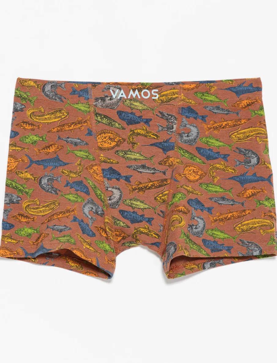 Organic Cotton Printed Boxers