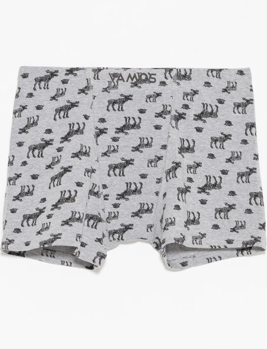 Organic Cotton Printed Boxers