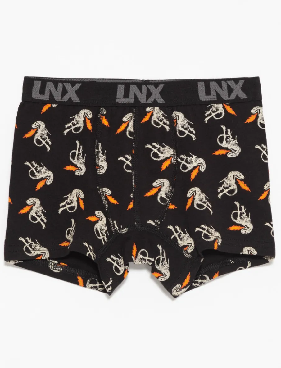 Printed Boxers
