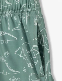 Printed Elastic-waist Boardshorts - Little Boy
