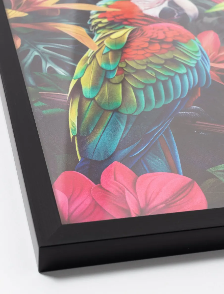 Printed Wall Art - Parrot