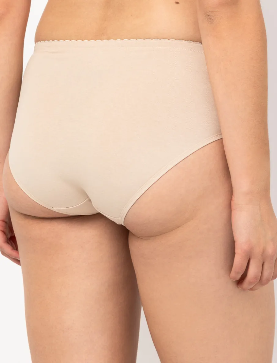 Regular Lace Waist Panty