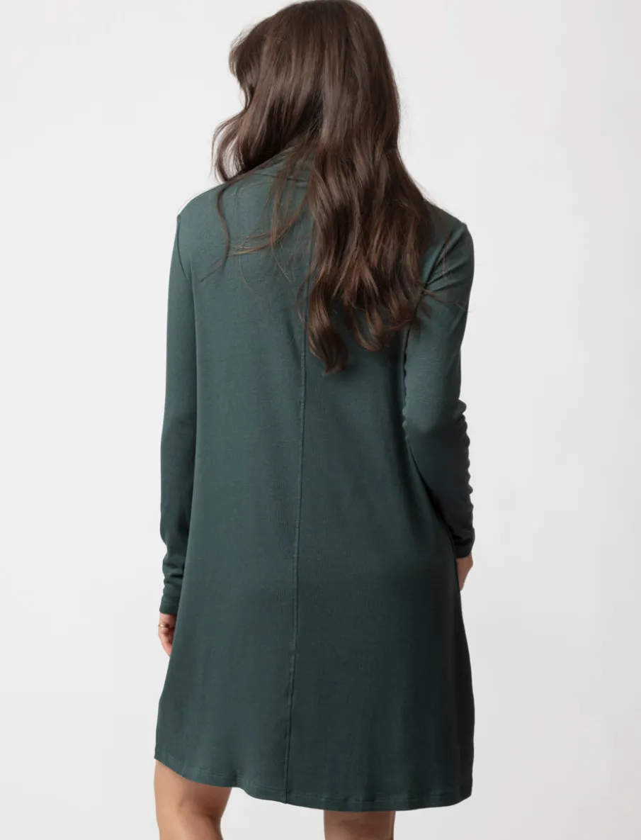 Ribbed Turtleneck Dress