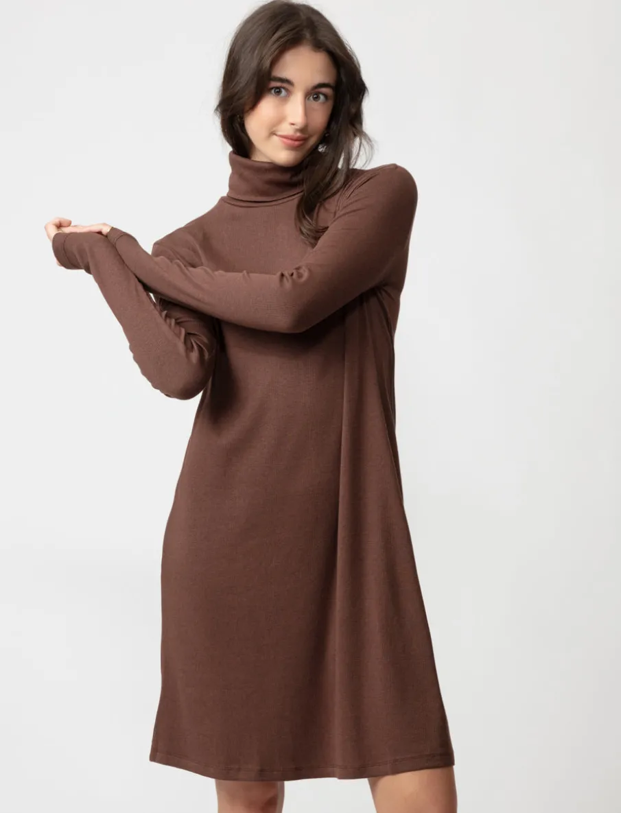 Ribbed Turtleneck Dress
