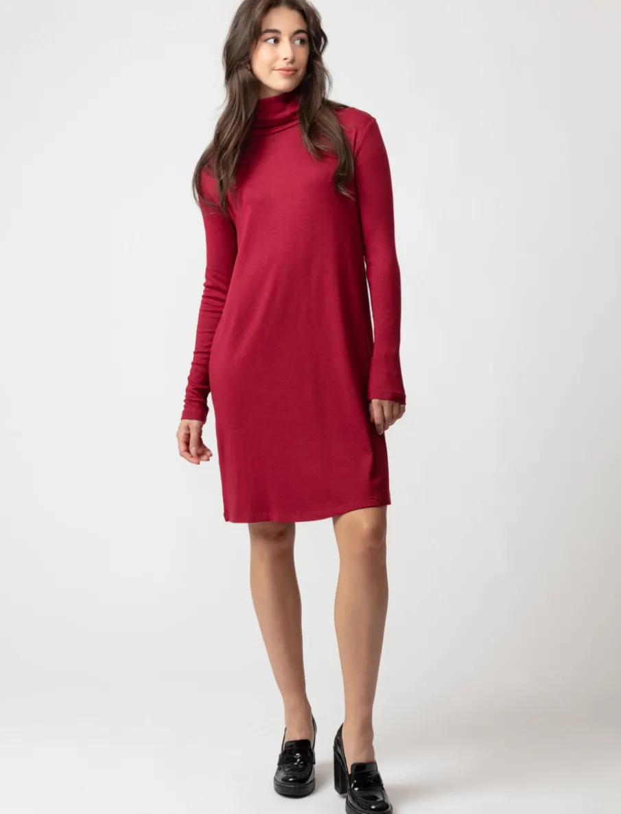Ribbed Turtleneck Dress