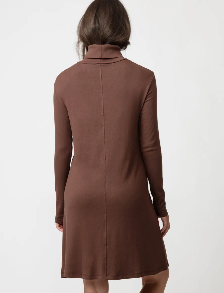 Ribbed Turtleneck Dress