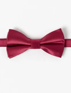 Satiny Bow Tie