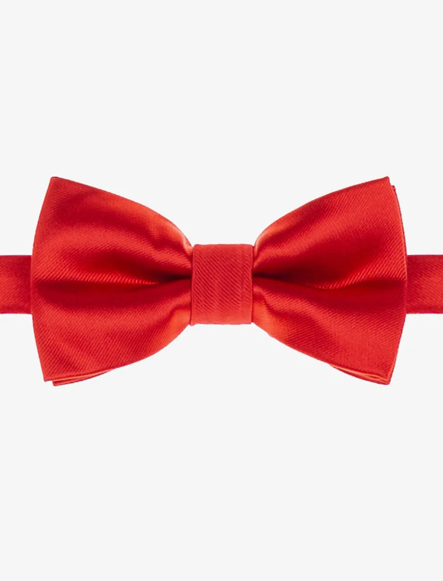 Silky Bow Tie