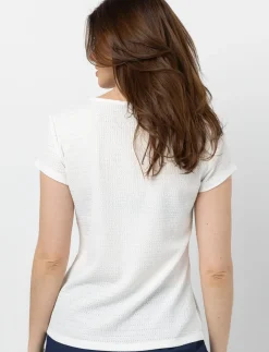 Solid Crew Neck T-Shirt