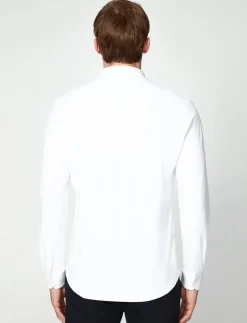 Solid Dress Shirt