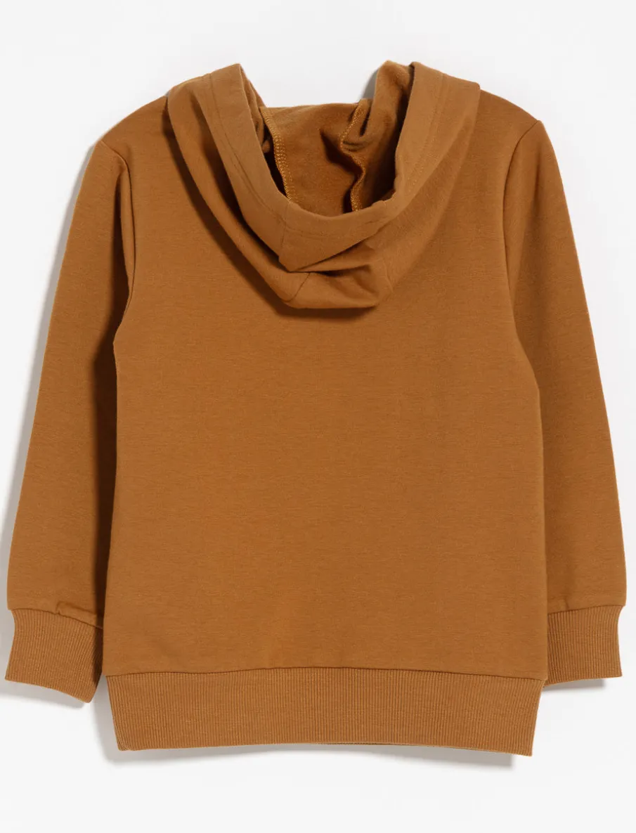 Solid Fleece Hoodie