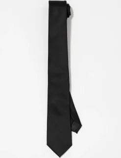 Solid Satiny Tie