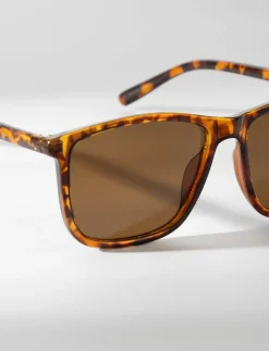 Square Sunglasses