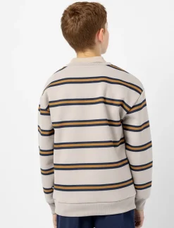 Striped Crew-neck Fleece Sweater