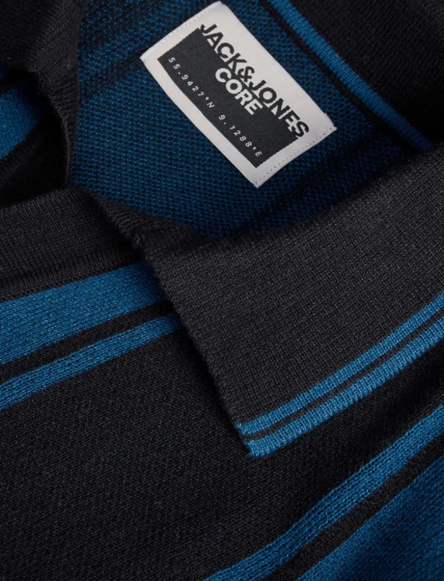 Striped Knit Polo Shirt