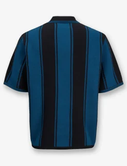 Striped Knit Polo Shirt