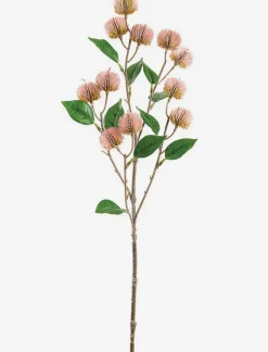 Thistle Stem